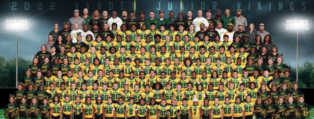 Vanden Junior Vikings