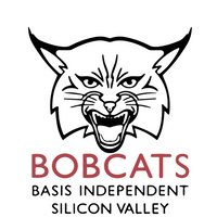 Basis Independent Silicon Valley