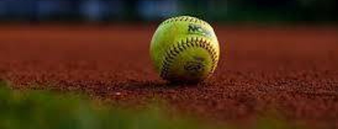 Lady Bulldogs Softball