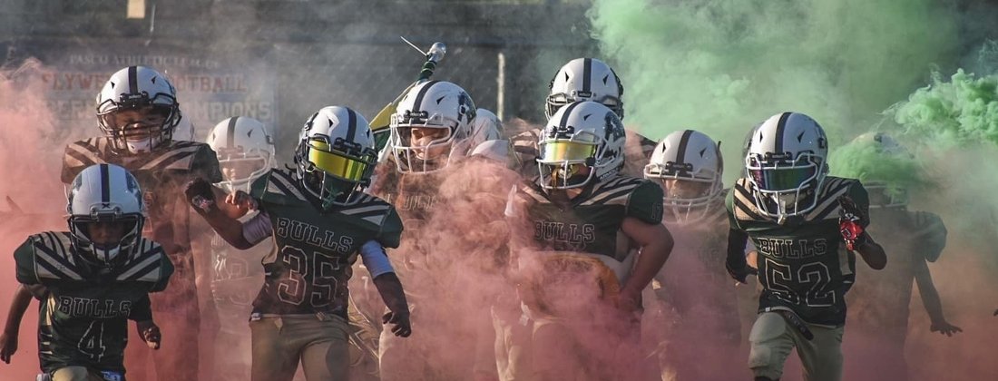 Wesley Chapel Bulls