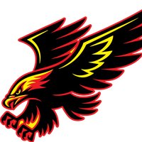 Central Michigan Hawks