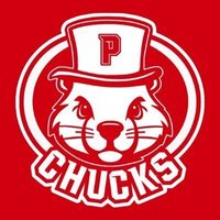 Punxsutawney Area High School