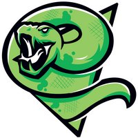 Saginaw Bay Vipers
