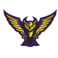 Midland/Bay Owls