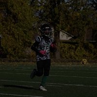 Breylon Q
